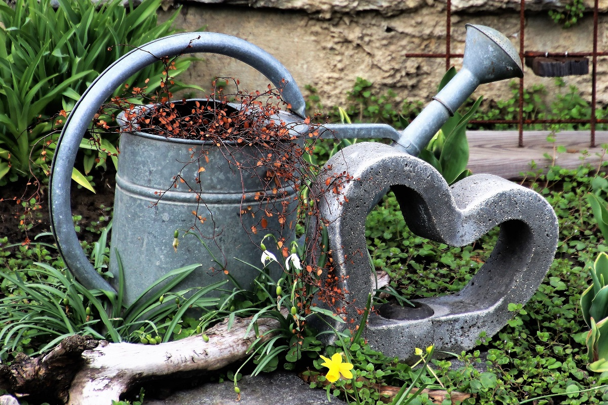 How to water houseplants
